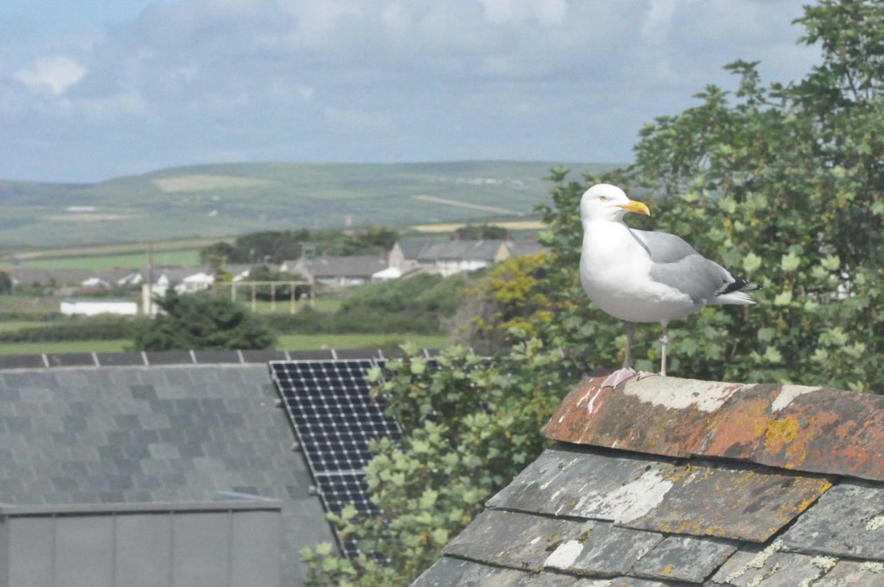Gordon House B & B Tintagel Exterior foto